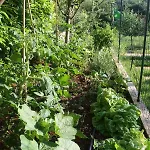 Lejlighed Green Garden Pula