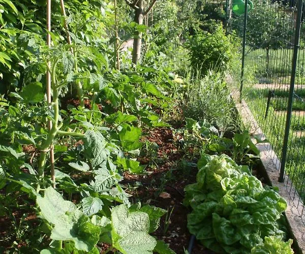 Apartmán Green Garden Pula